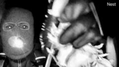 ФБР ищет вооруженного похитителя матери Саванны Гатри - Fetchub